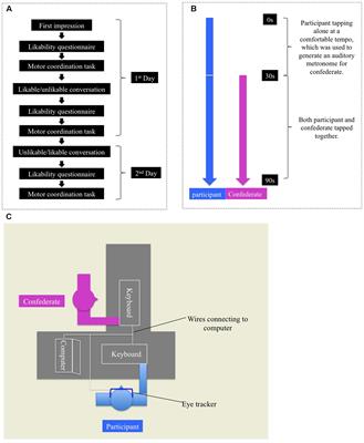 Likability’s Effect on Interpersonal Motor Coordination: Exploring Natural Gaze Direction